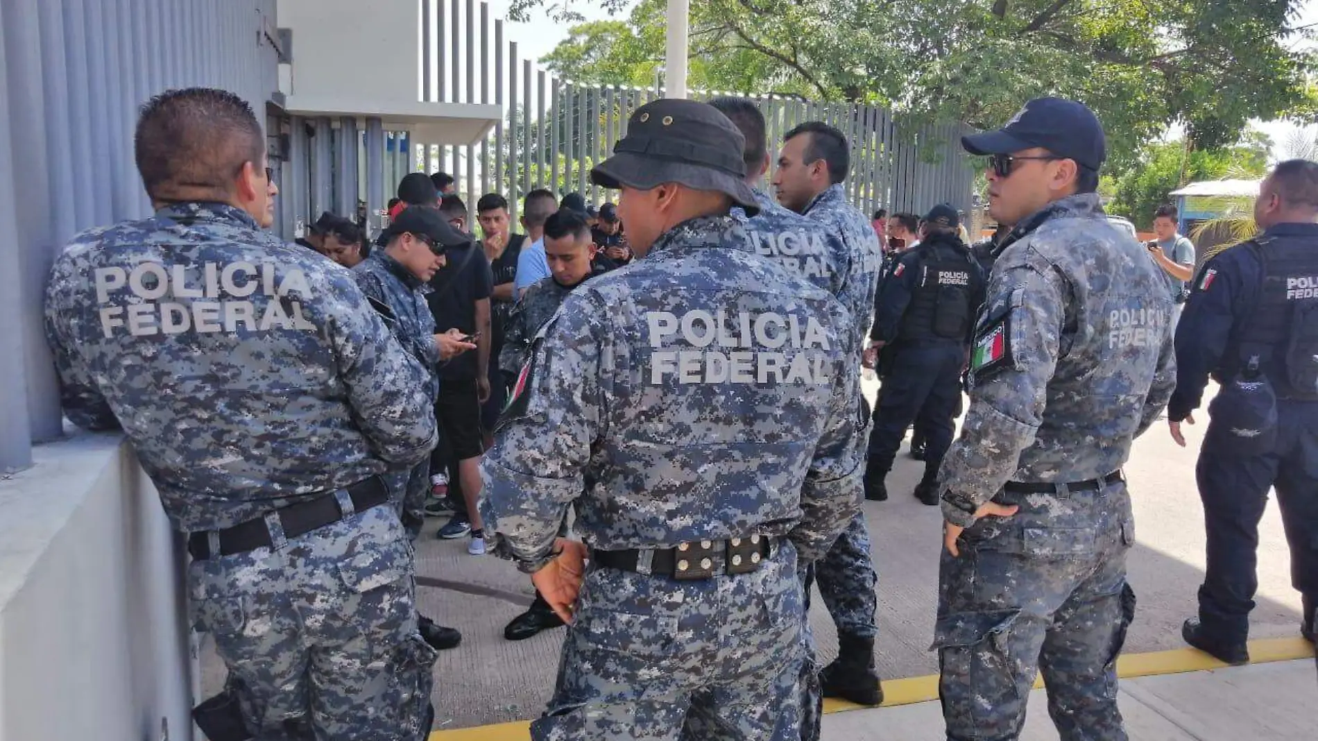 Policia federal